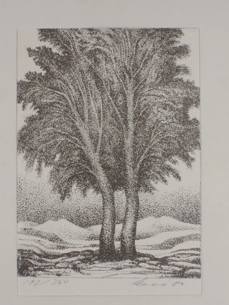 Helmut Kies, Zwei Bäume, Litho