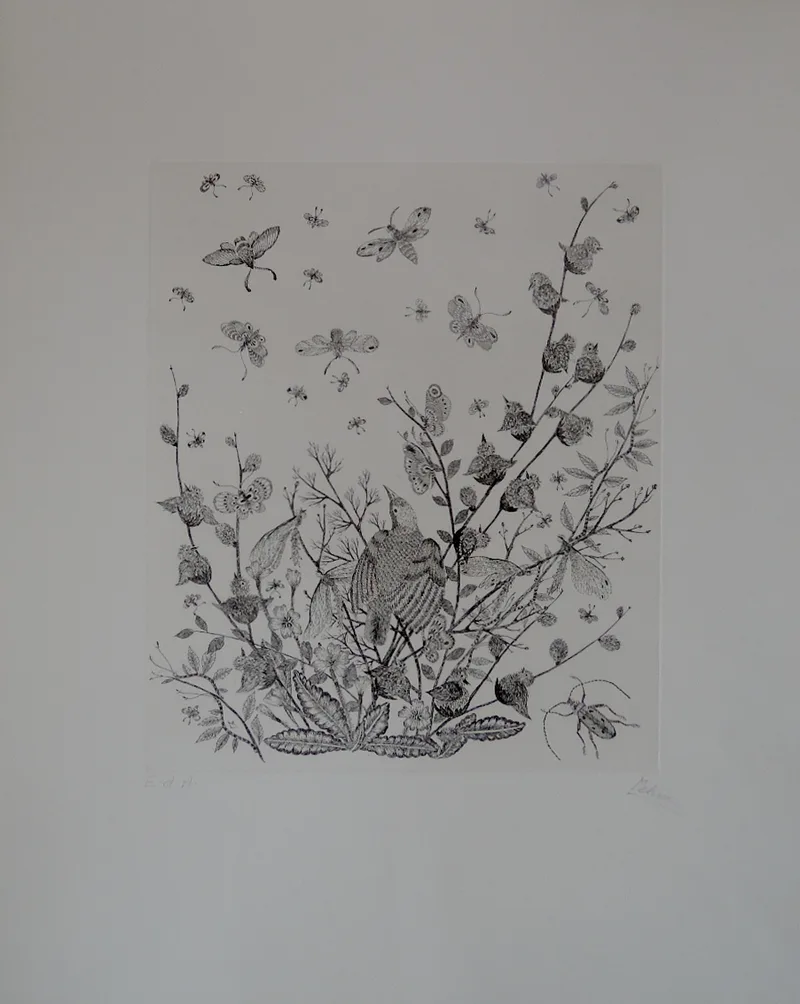 M. Lehner, Fauna und Flora, Radierung