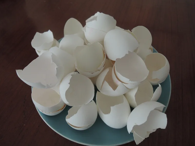 Leo van Tongerloo, Ex eggs, Eggshells on ceramic