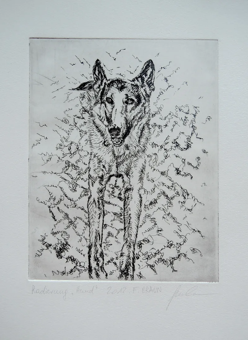 Franz Braun, Hund, Radierung