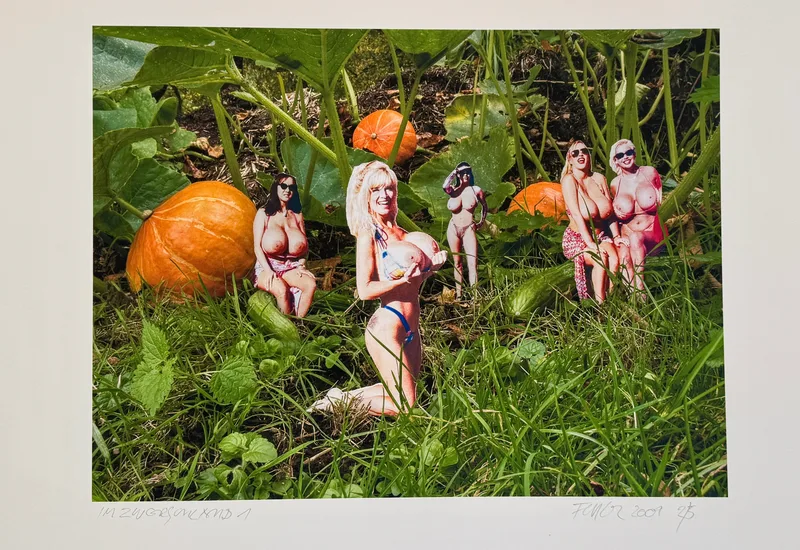 Winfried Fessler, Im Zwergenland, Photo Rag Ultra Smooth 3059 Hahnemühle 100% Cotton