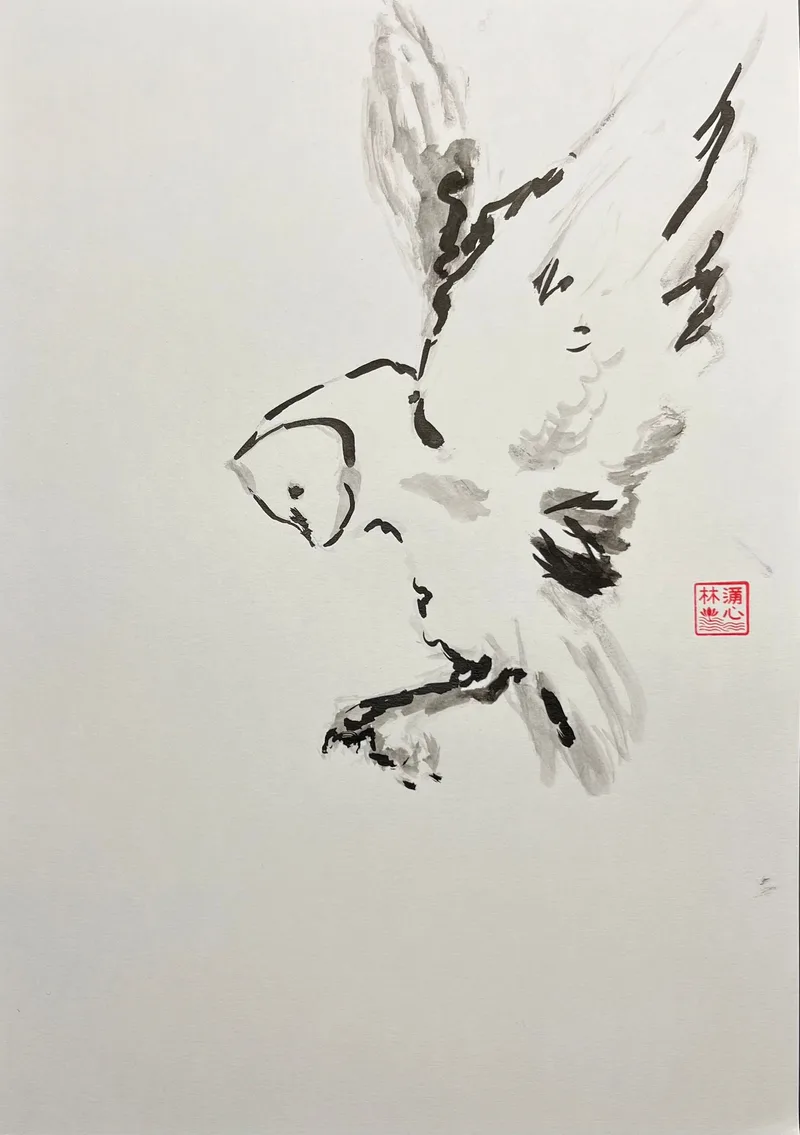 Lín Lánxīn, Eule, Chinesische Tusche auf Papier