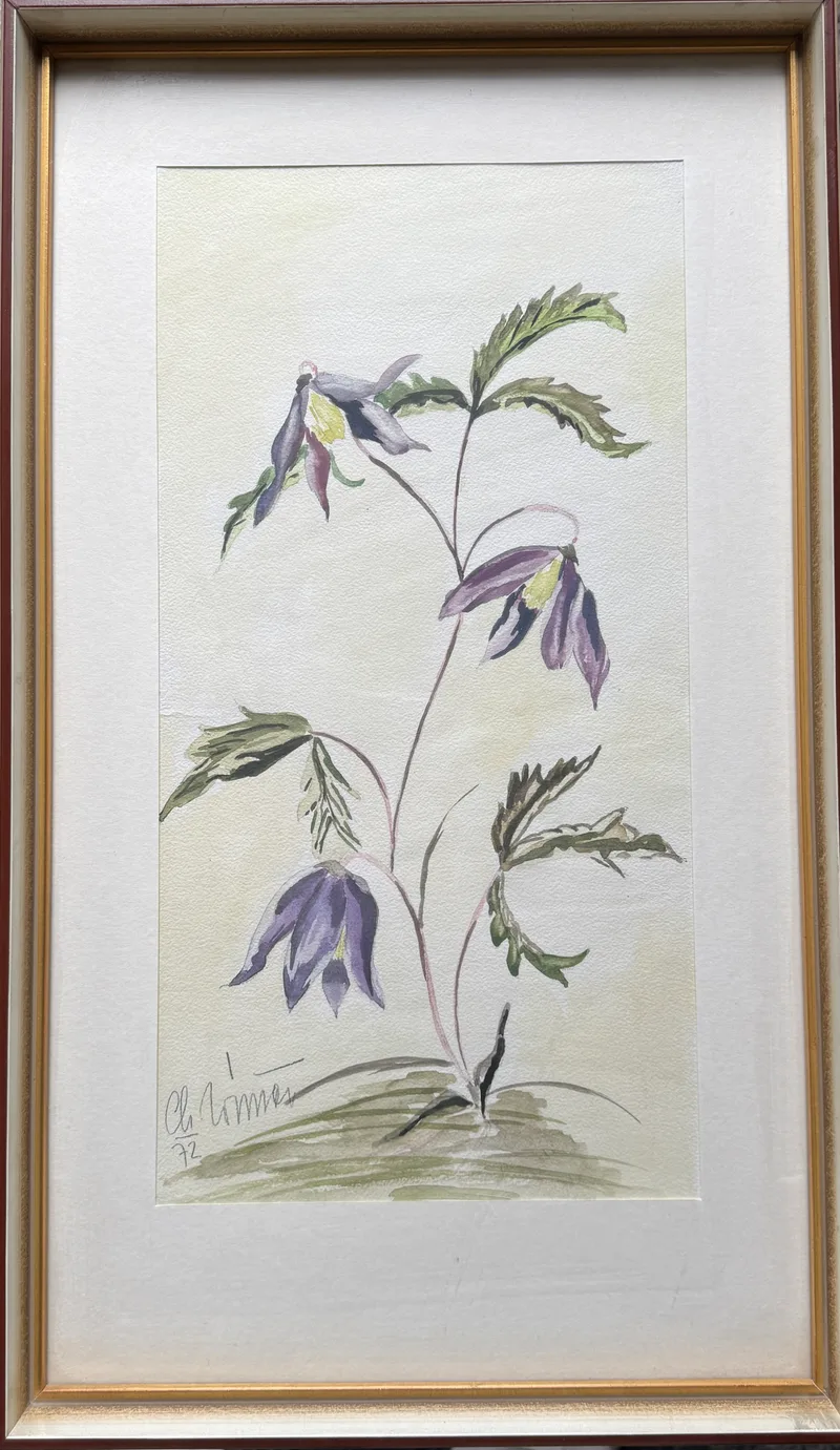 Ch. Wimmer, Florale Skizze violett, Aquarell