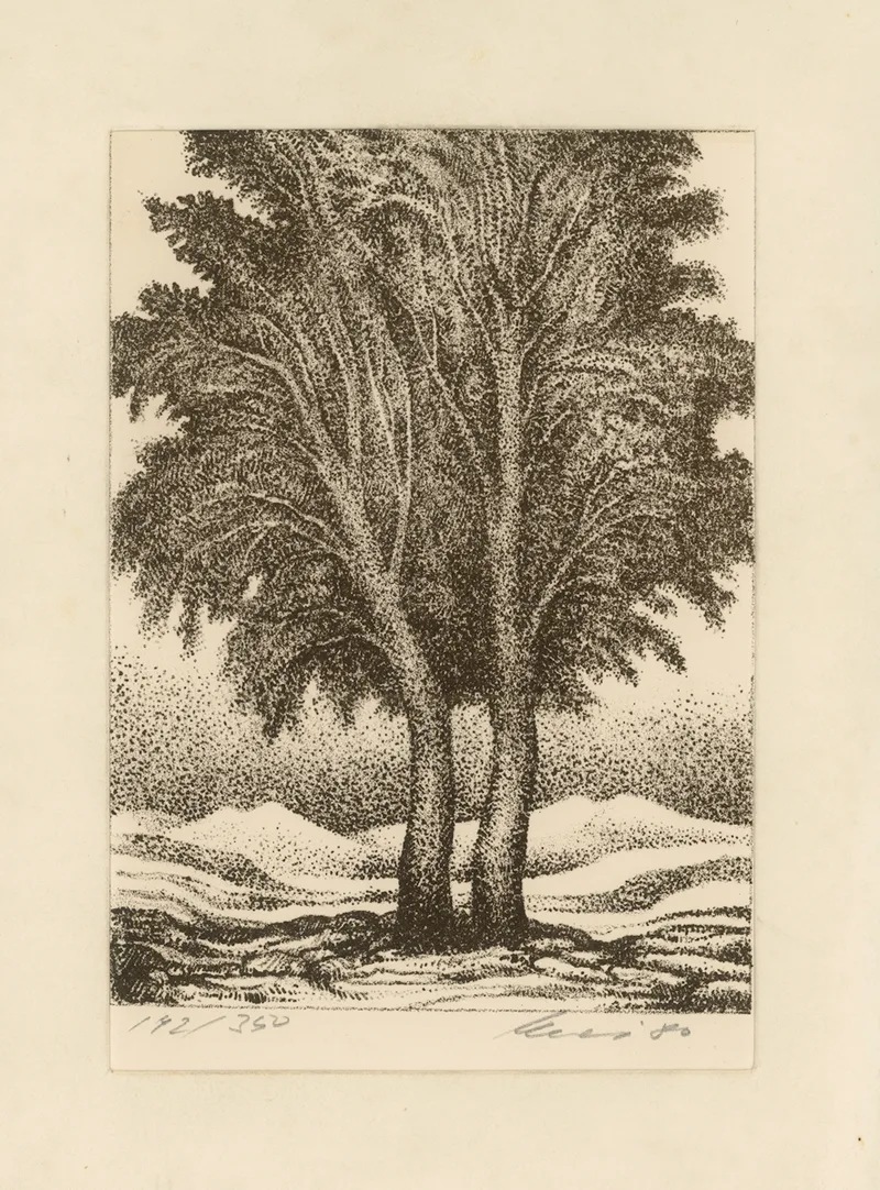 Helmut Kies, o.T. Concordia, Lithographie